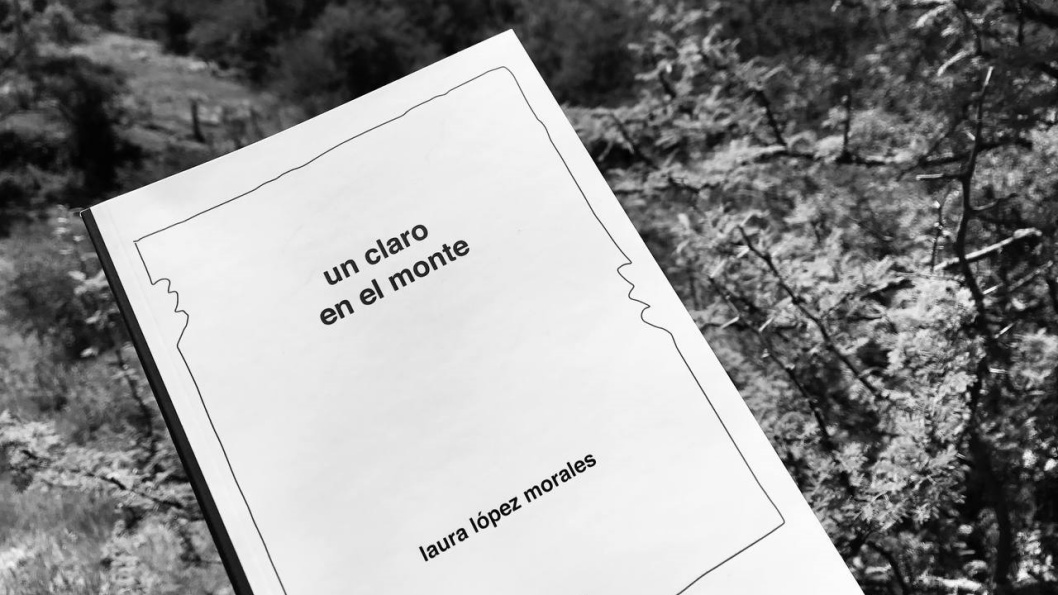 Como Usar Frases do Planta e Raiz para Legendas Criativas no Instagram