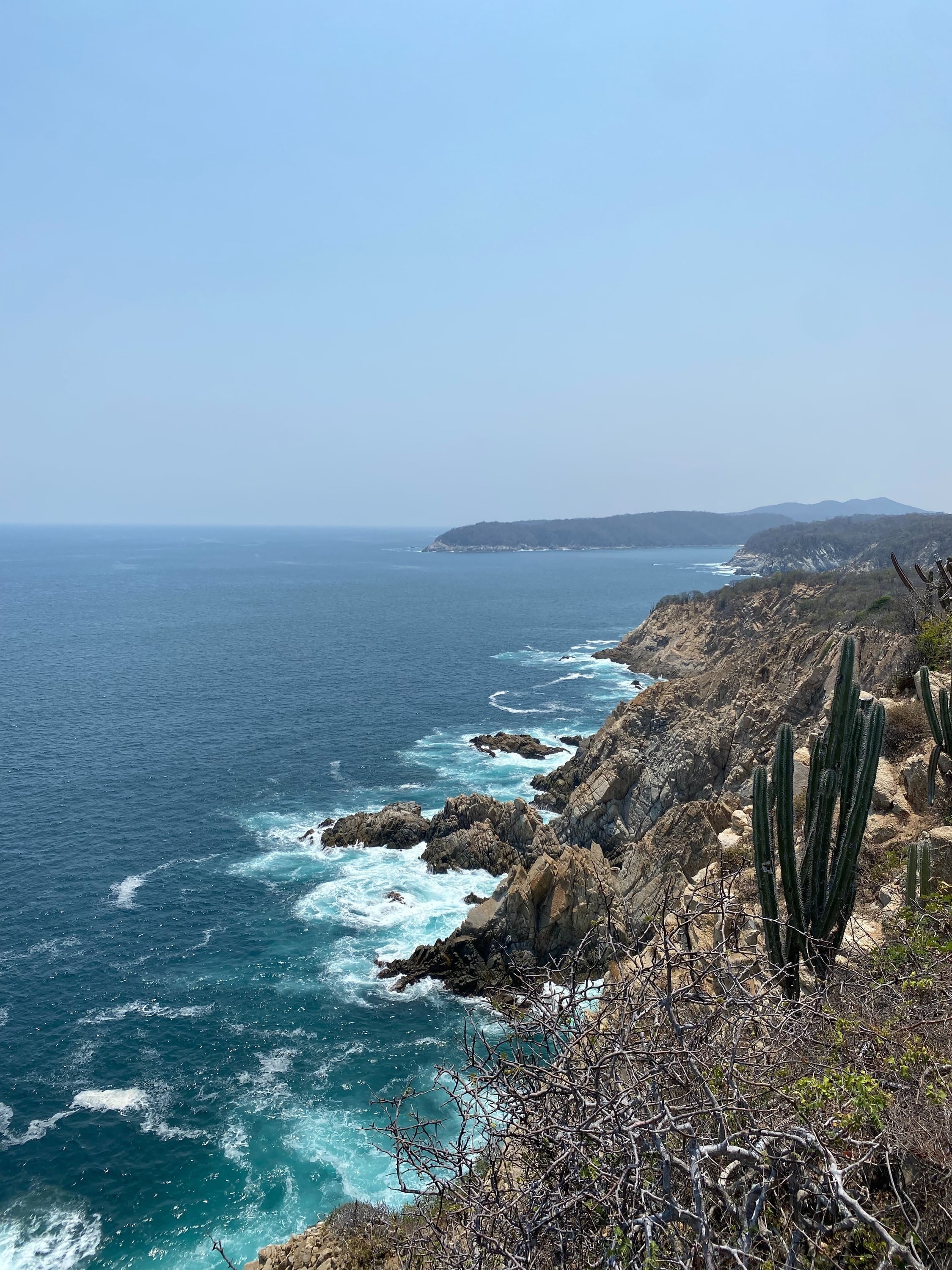 A Filosofia de Vida por Trás das Músicas do Planta e Raiz
