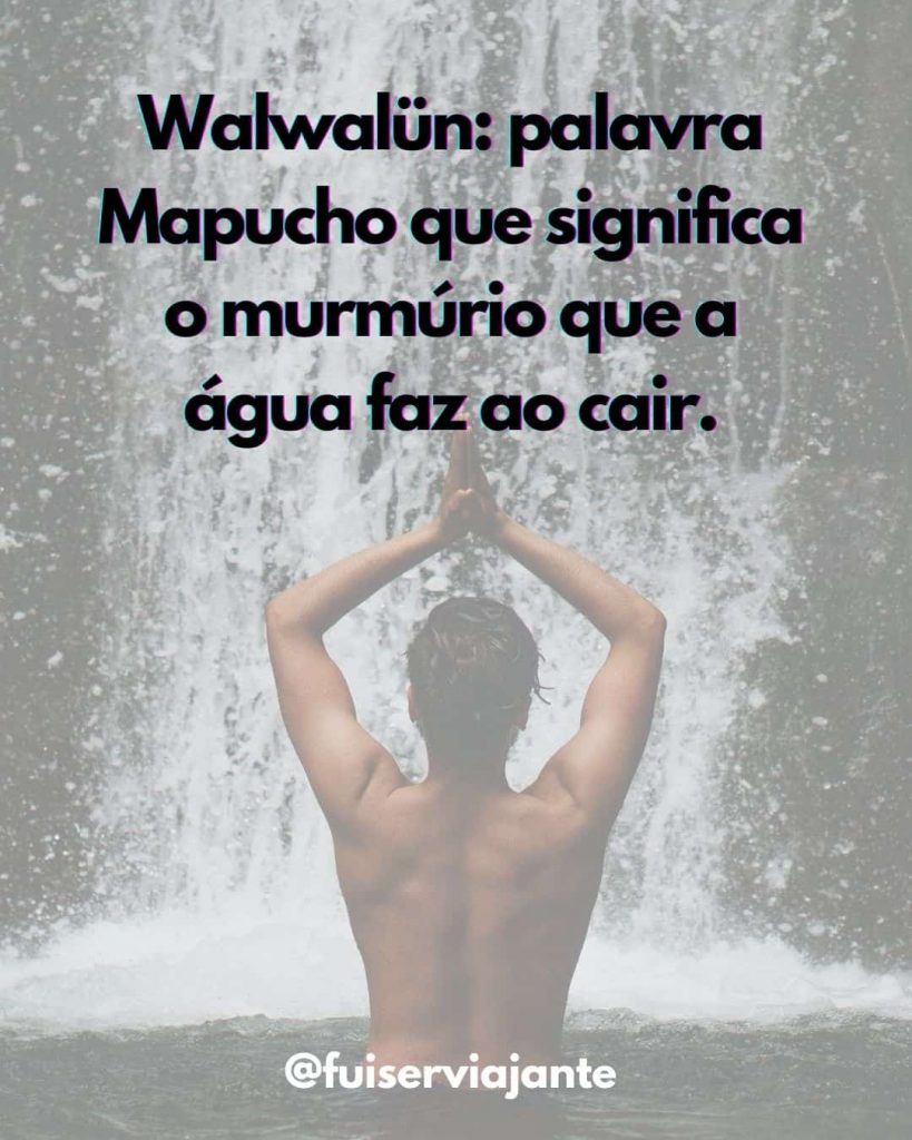 frases planta e raiz tumblr