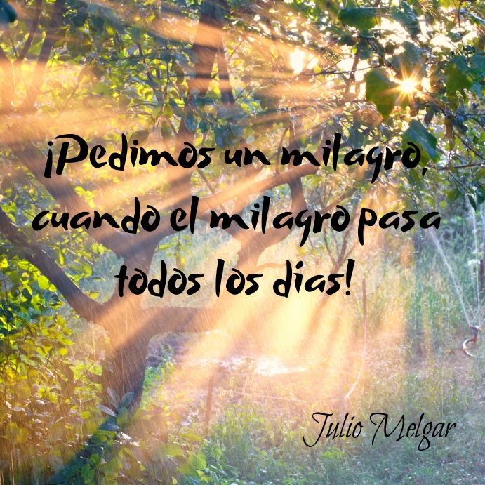 Frases de Santa Teresinha: Sabedoria para a Vida e a Oração