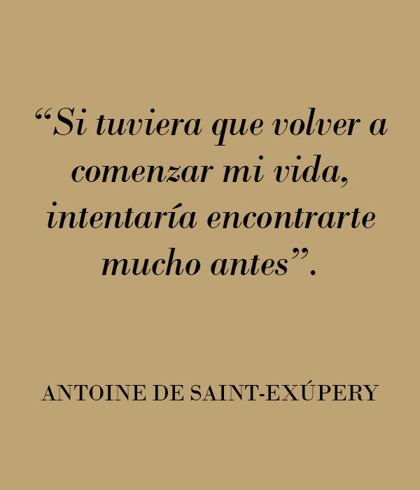 Frases de Amor para Reconquistar o Crush: Guia Completo