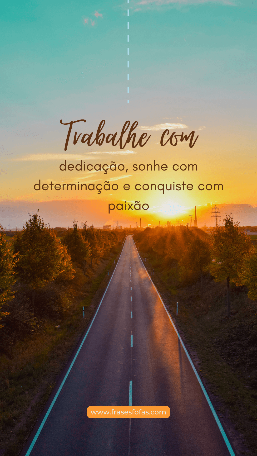 textos sobre dedicação profissional