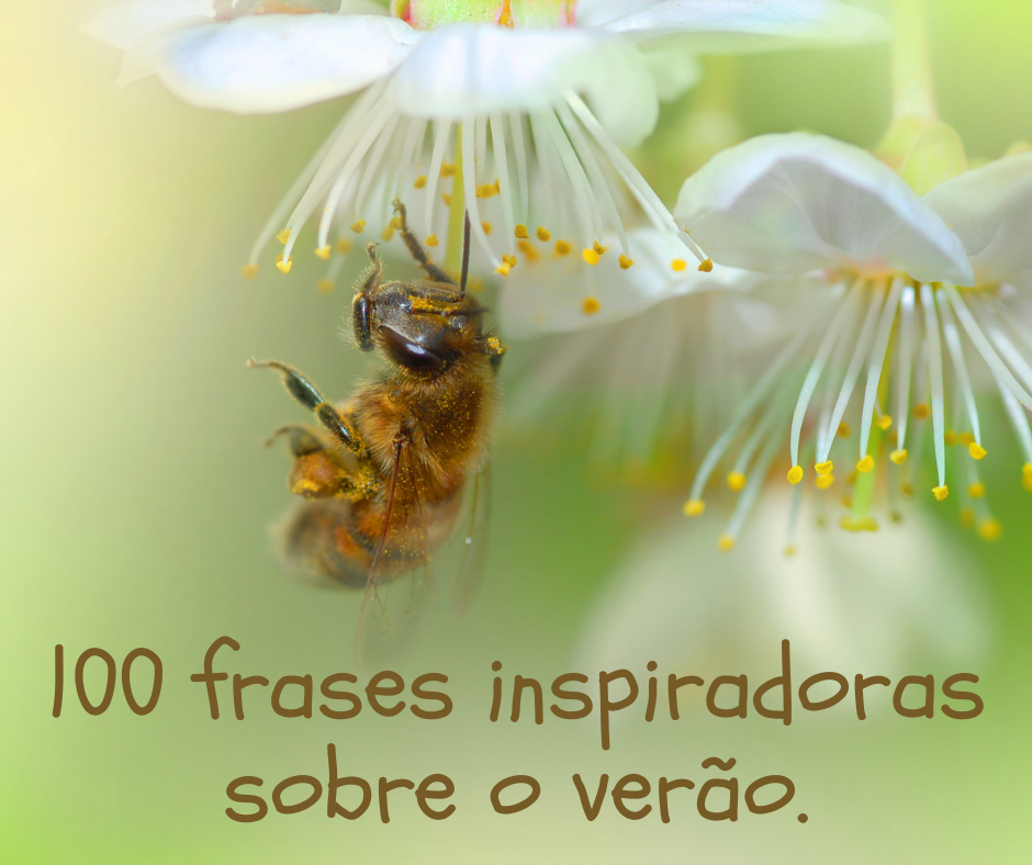 frases de verao para fotos em grupo na piscina