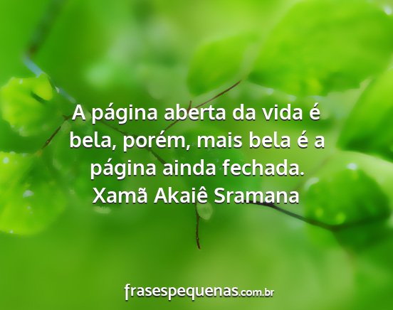 Análise das Letras do Xamã: Poesia Urbana e Crítica Social
