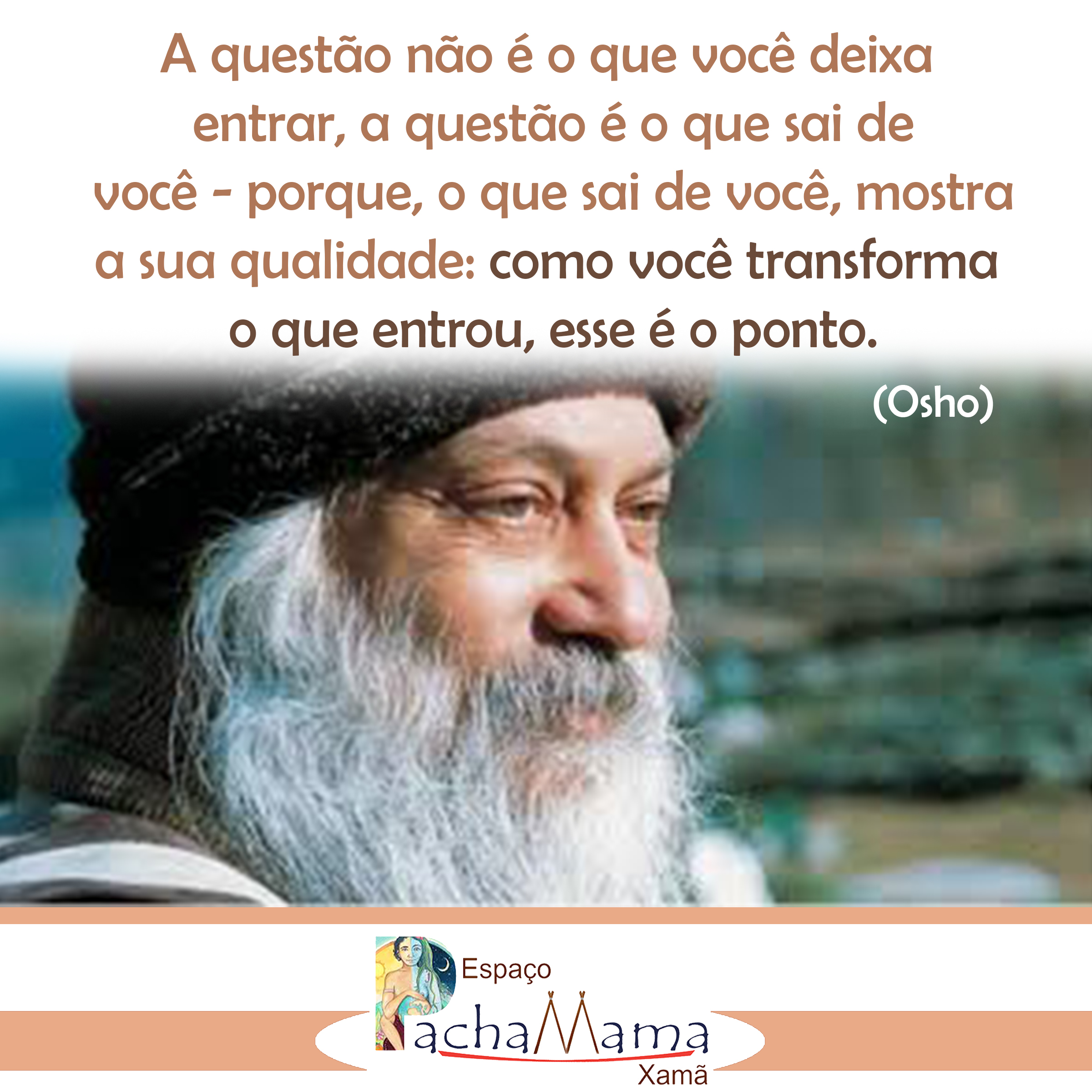 Análise das Letras do Xamã: Poesia Urbana e Crítica Social