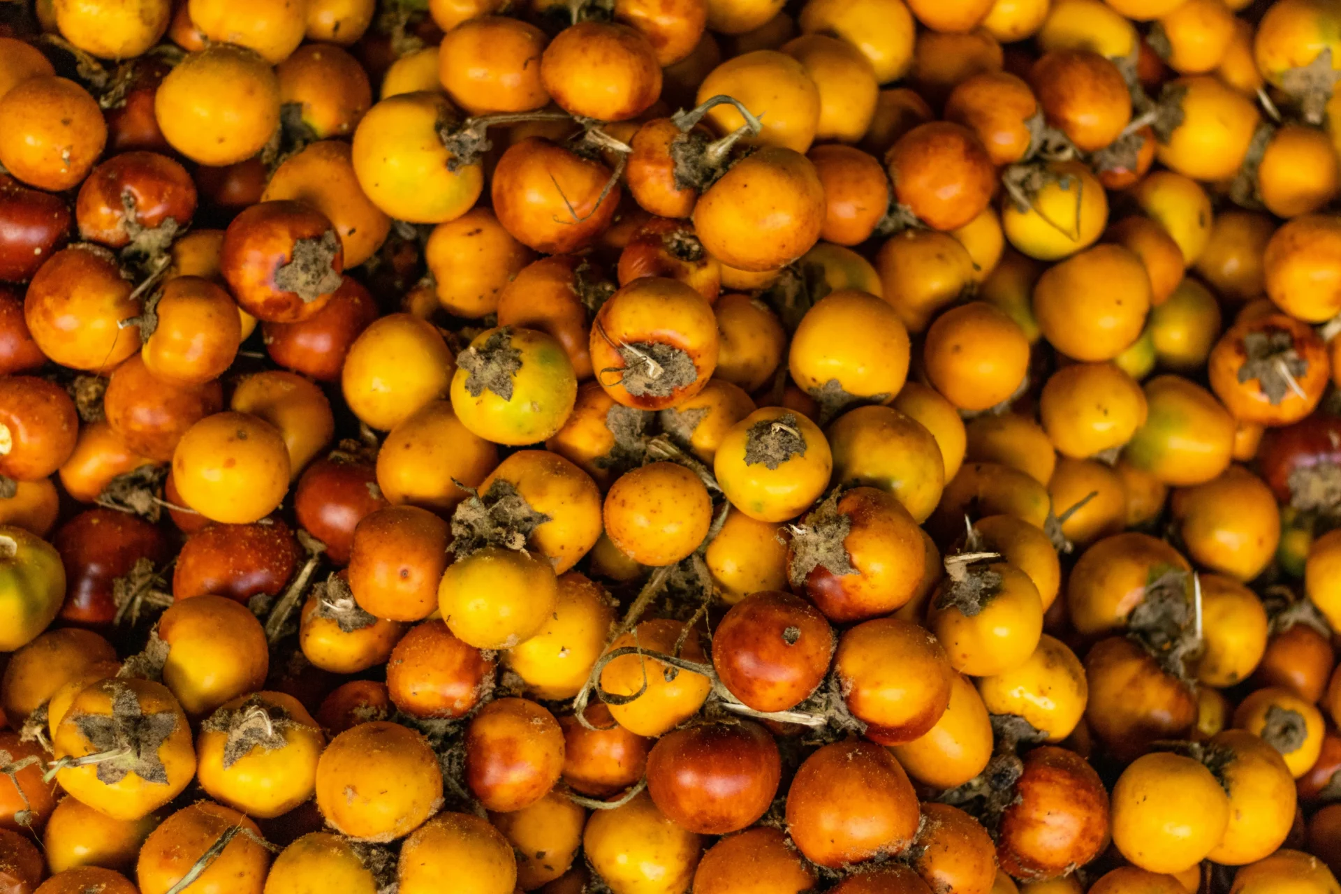 frutas amarelas para fortalecer a imunidade