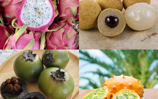 1. Guia Completo: Benefícios das Frutas Amarelas para a Saúde
2. Descubra Frutas Amarelas Nativas do Brasil e Seus Sabores Únicos
3. Vitamina C: As Melhores Fontes em Frutas Amarelas
4. Receitas Deliciosas com Frutas Amarelas: Do Doce ao Salgado
5. Cultivo de Frutas Amarelas: Dicas para Ter em Casa