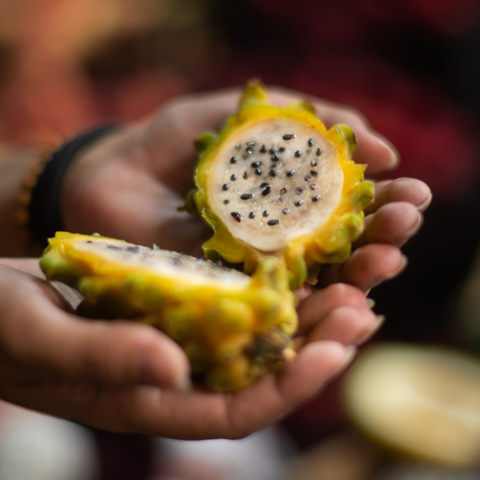 1. Guia Completo: Benefícios das Frutas Amarelas para a Saúde
2. Descubra Frutas Amarelas Nativas do Brasil e Seus Sabores Únicos
3. Vitamina C: As Melhores Fontes em Frutas Amarelas
4. Receitas Deliciosas com Frutas Amarelas: Do Doce ao Salgado
5. Cultivo de Frutas Amarelas: Dicas para Ter em Casa