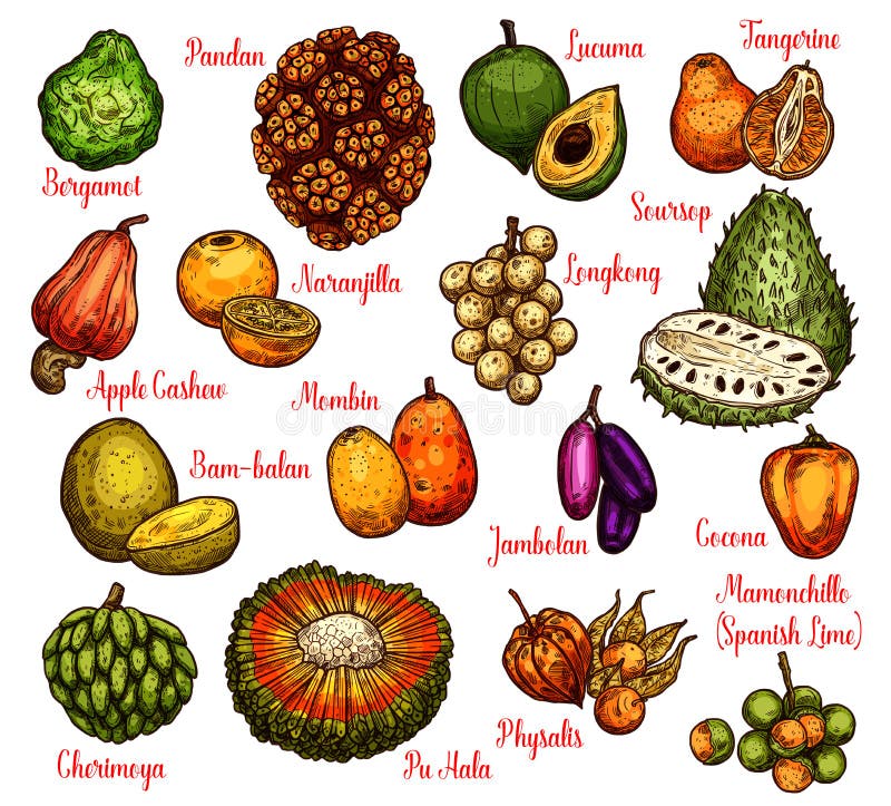 frutas tropicais