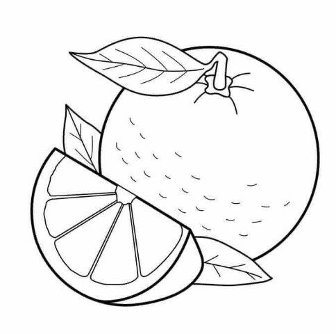 moldes de frutas para pintura