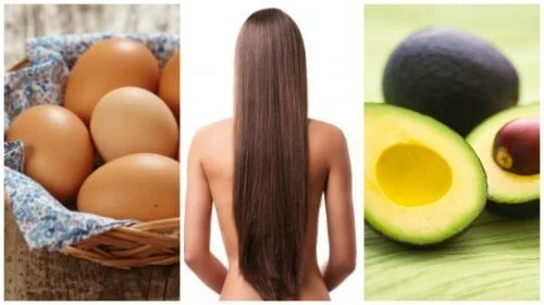 Alimentos Ricos em Proteínas e Zinco para um Cabelo Incrível