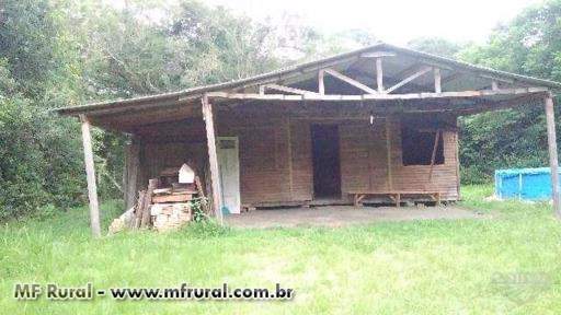 galpão rústico para criação de animais