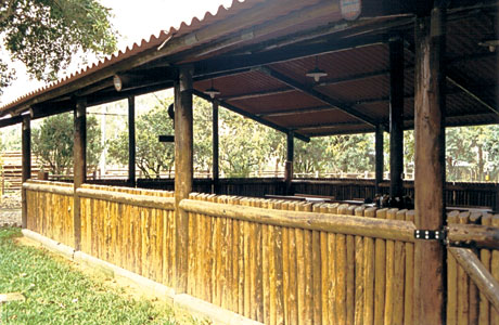 galpão rústico com churrasqueira