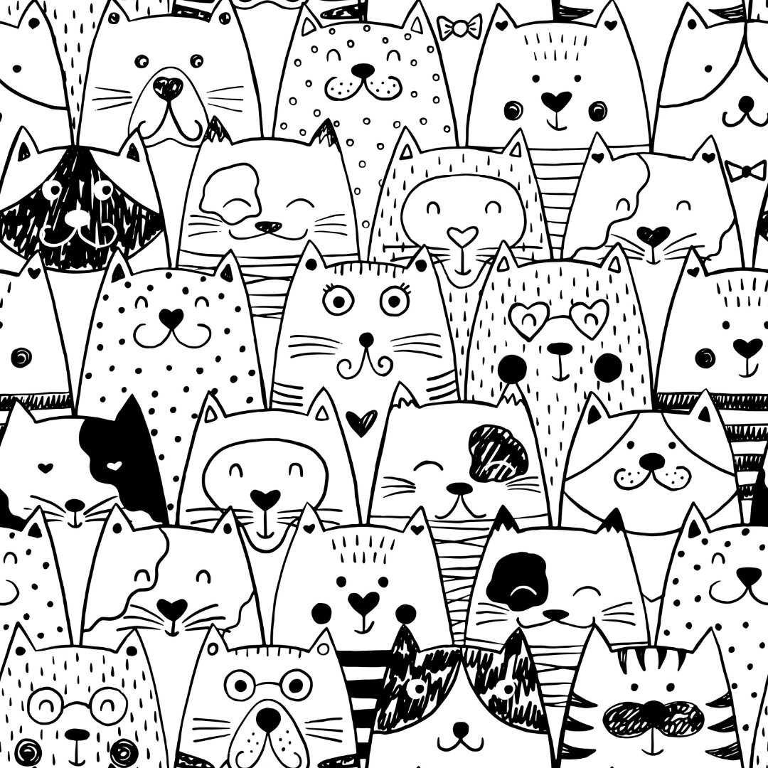 desenhos de gatos para imprimir e pintar