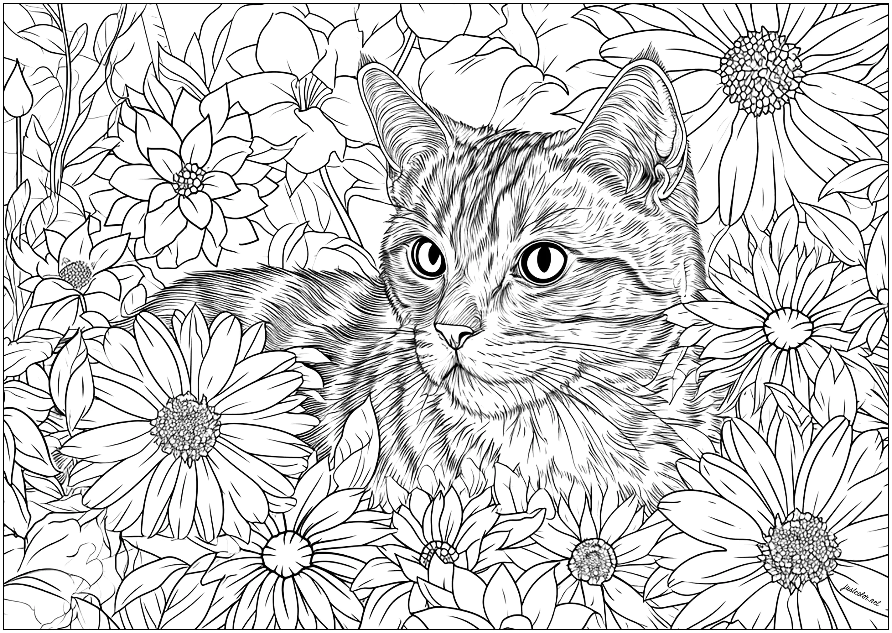 desenhos de gatos para imprimir e pintar