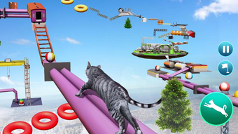 Por Que Gatos São Mestres Naturais do Parkour?