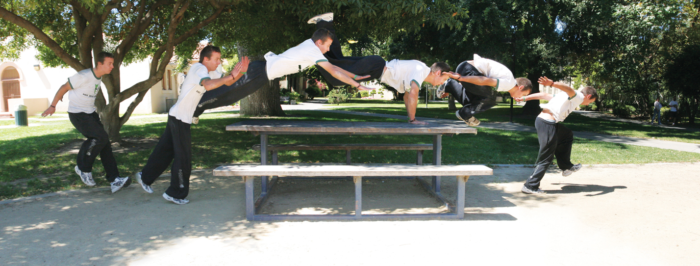 Por Que Gatos São Mestres Naturais do Parkour?