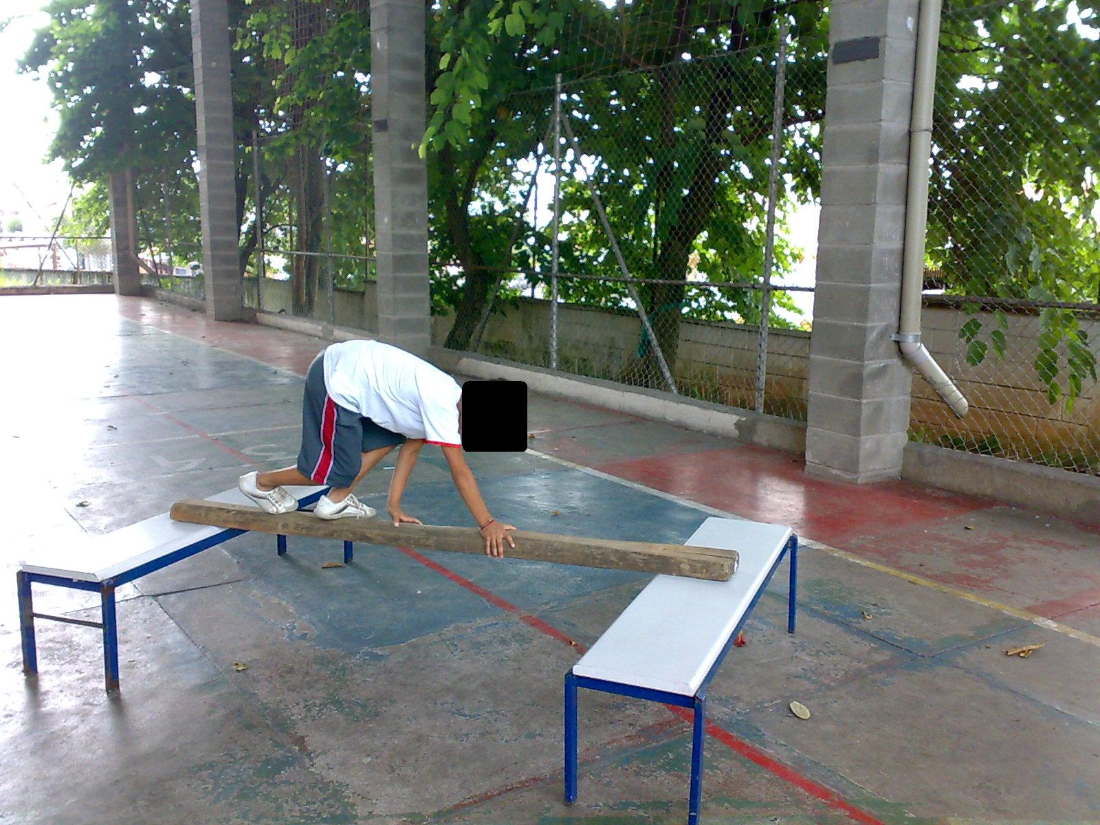 Por Que Gatos São Mestres Naturais do Parkour?