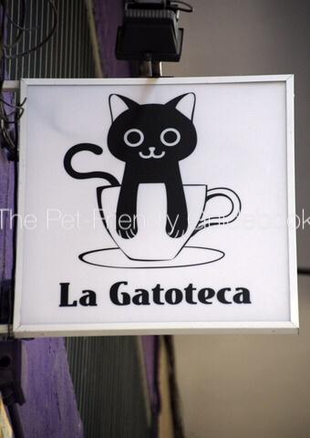 Cat Cafés na Europa: Além de Madrid