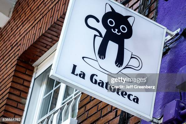 Como Ajudar Projetos de Resgate Animal como a Gatoteca de Porto Alegre