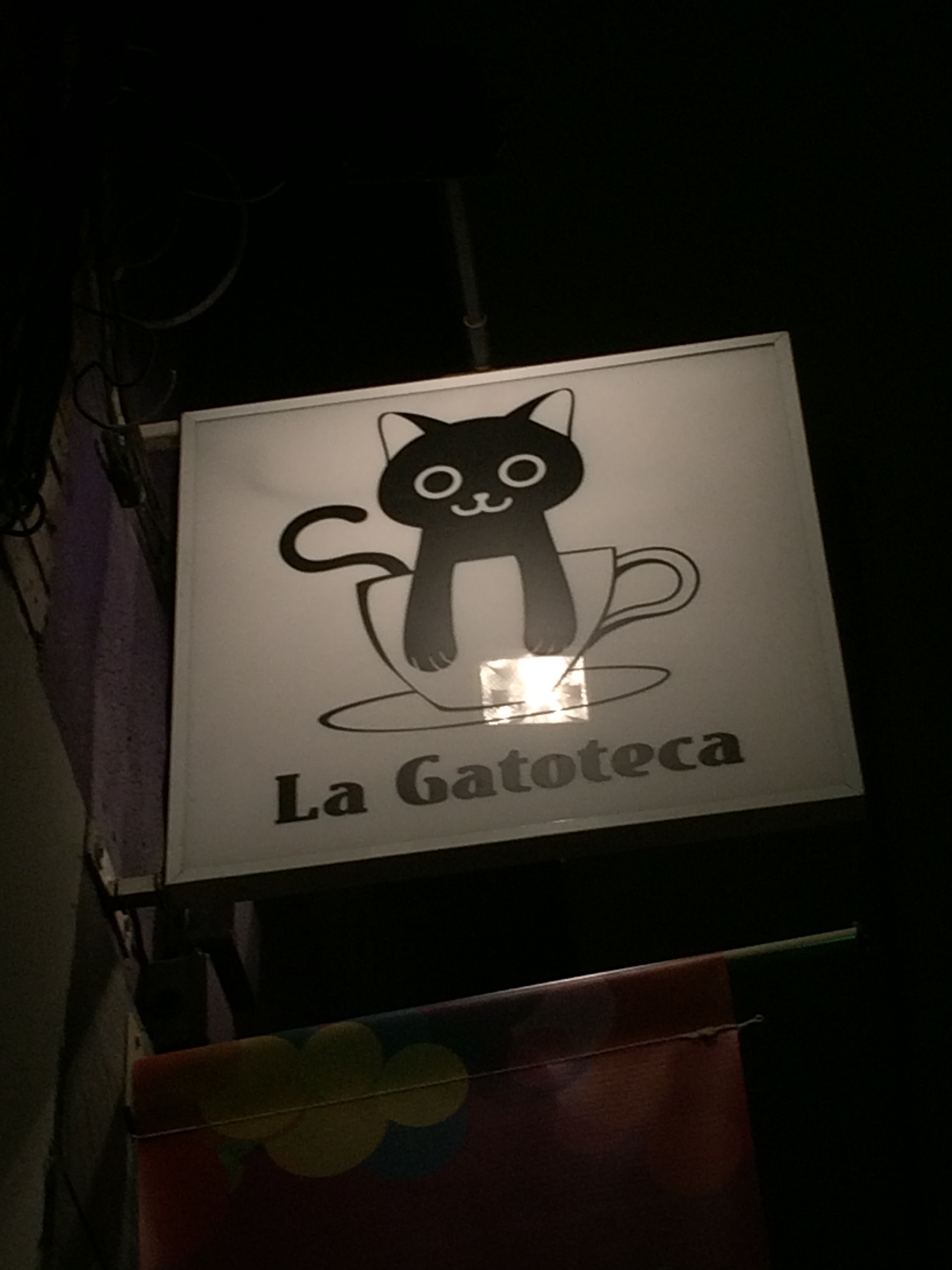 Conheça Outras Opções