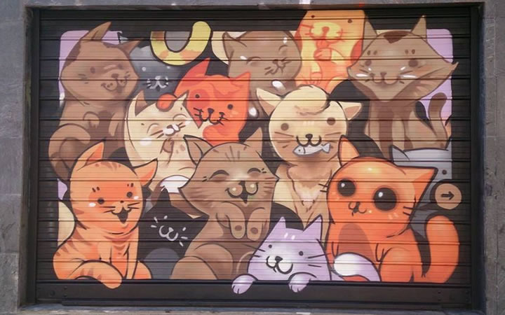 Como Ajudar Projetos de Resgate Animal como a Gatoteca de Porto Alegre