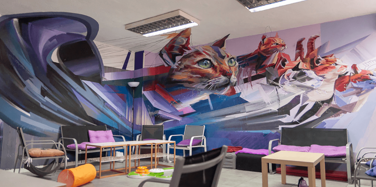 Conheça Outras Opções