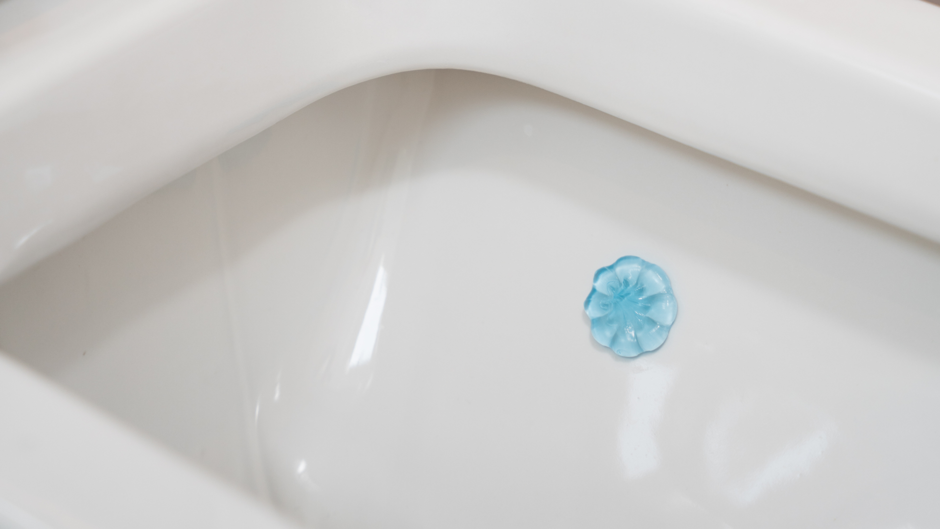 5 Dicas Essenciais para Maximizar a Durabilidade do Seu Gel Adesivo no Vaso