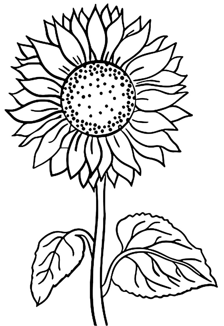 desenho de girassol para colorir infantil