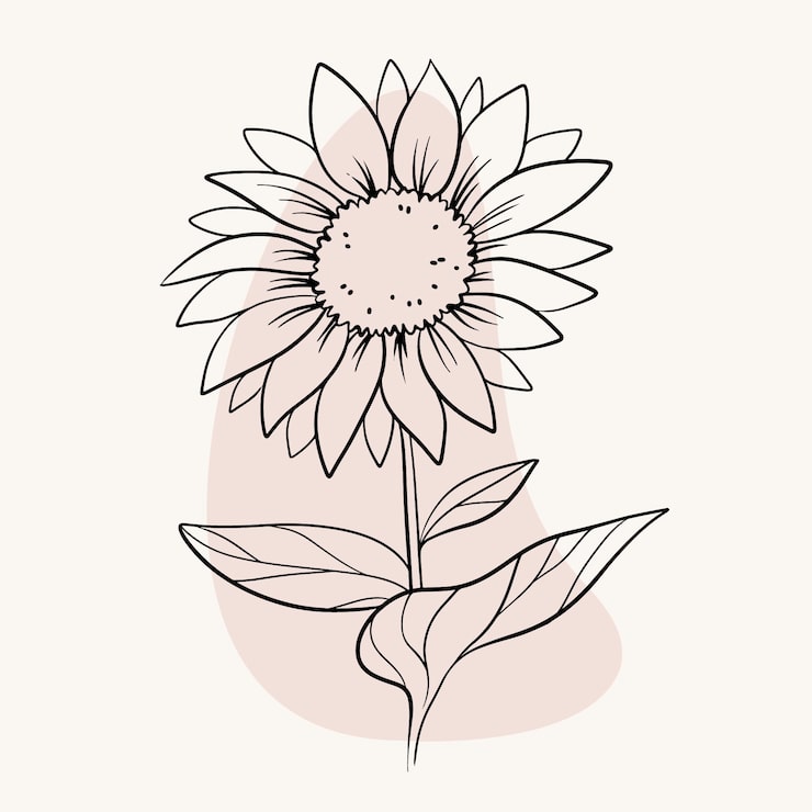 desenho de girassol para colorir adulto