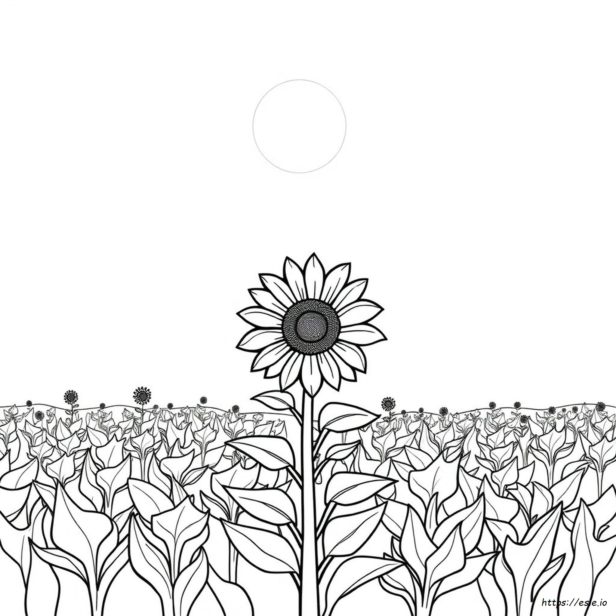 desenho de girassol para colorir infantil