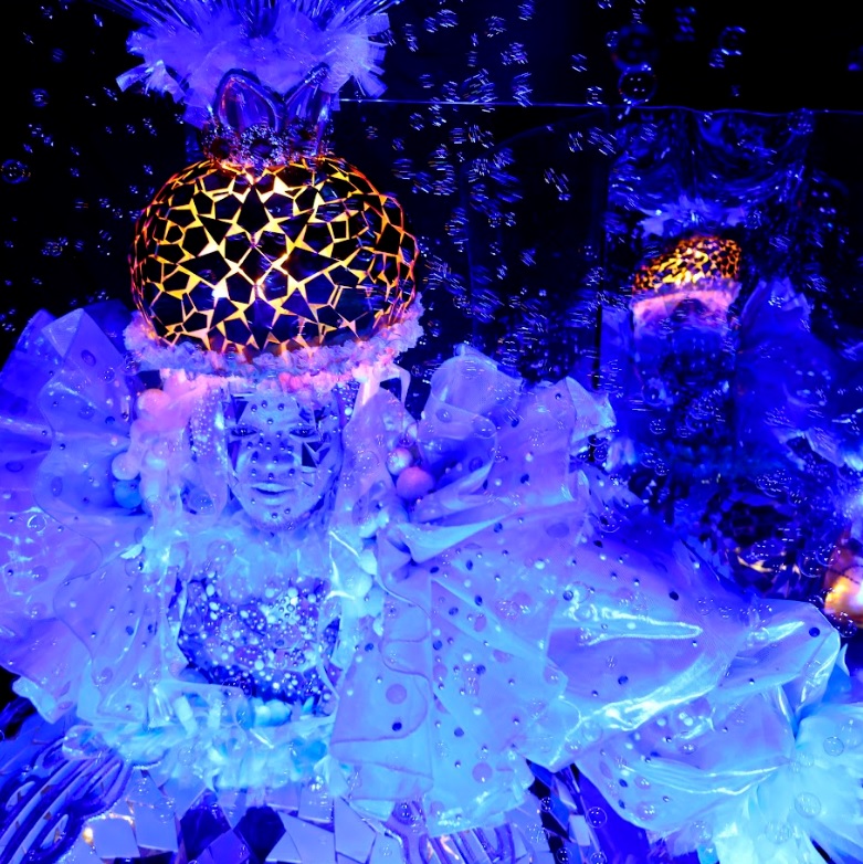 Como se tornar um componente da comunidade Grande Rio para o Carnaval