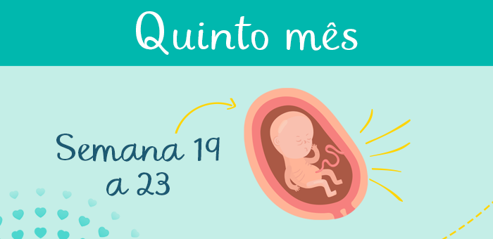 Como identificar os primeiros movimentos do bebê?