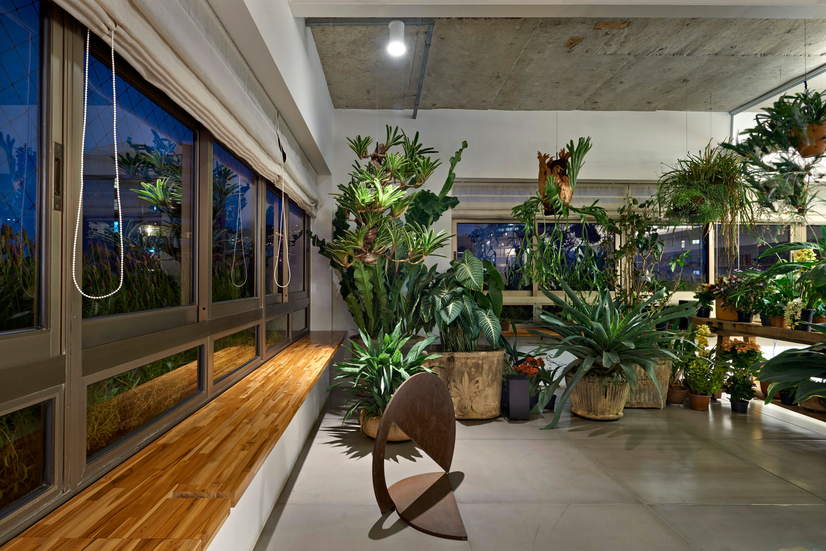 Azaleias em Casa: Dicas para uma Floração Abundante no Frio