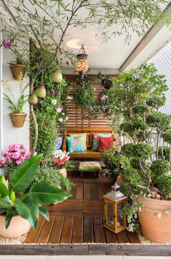 Como Manter Suas Orquídeas Floridas Durante Todo o Inverno