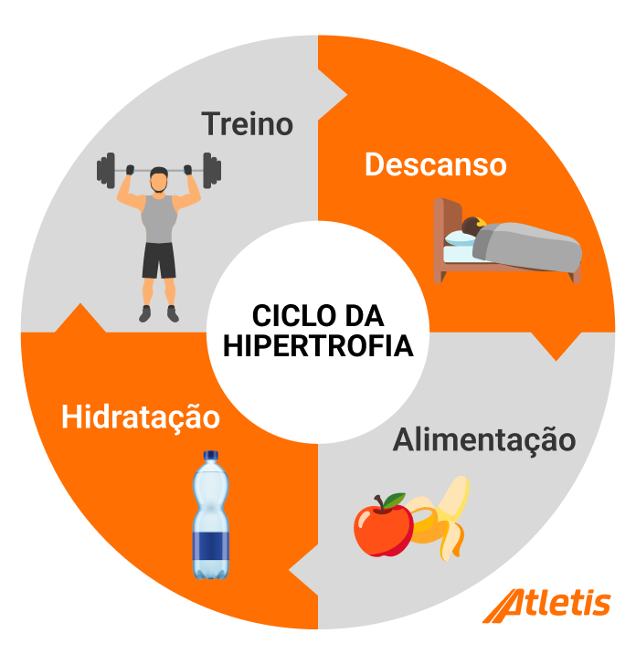 Receitas para Hipertrofia: Refeições Pré e Pós-Treino Essenciais