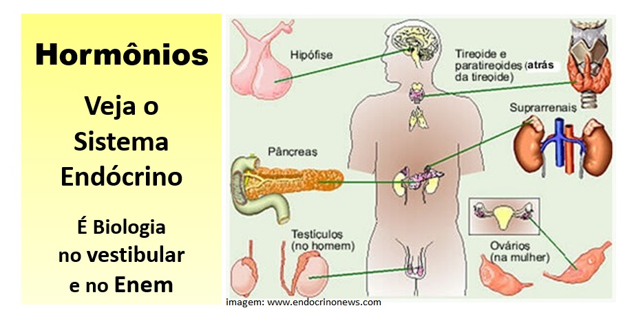 Desequilíbrio Hormonal: Sintomas, Causas e Como Buscar Tratamento Eficaz