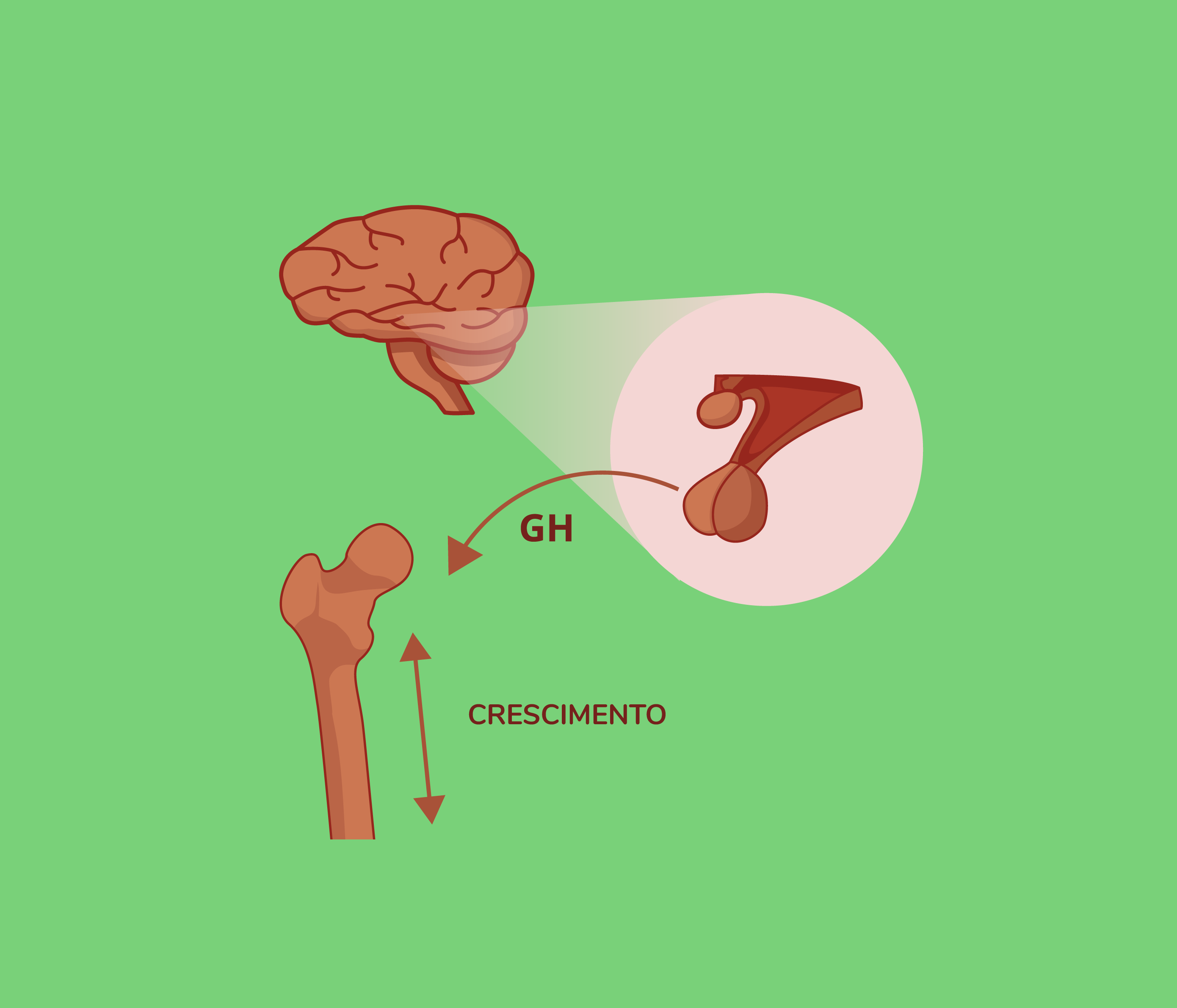 Hormônios e Doenças: Conheça as Condições Mais Comuns Relacionadas ao Desequilíbrio