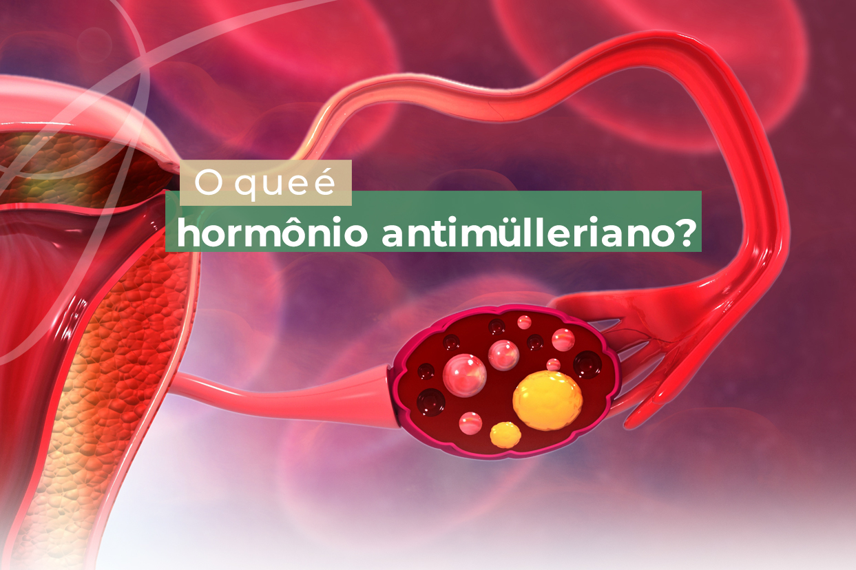 Guia Completo: Entenda as Principais Glândulas e Hormônios do Seu Corpo