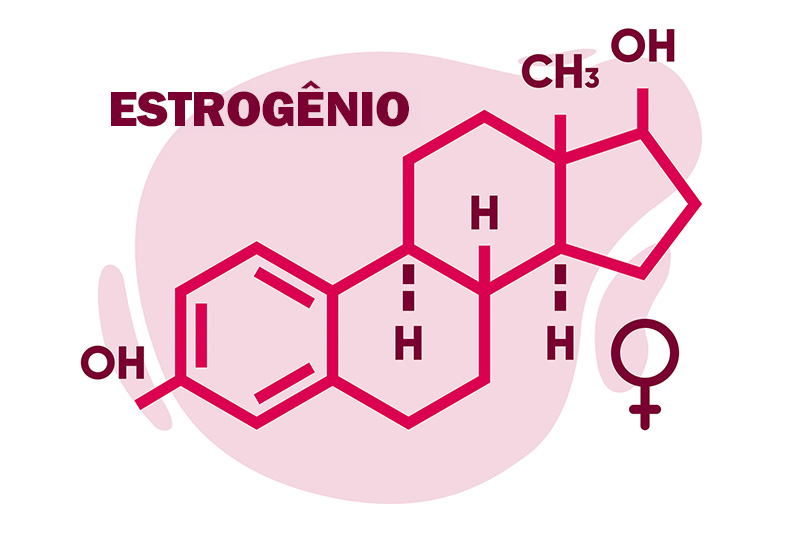 Guia Completo: Entenda as Principais Glândulas e Hormônios do Seu Corpo