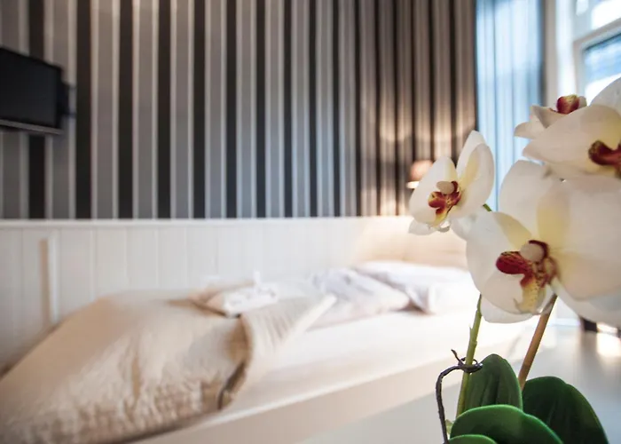 Hotéis boutique em Viena Áustria