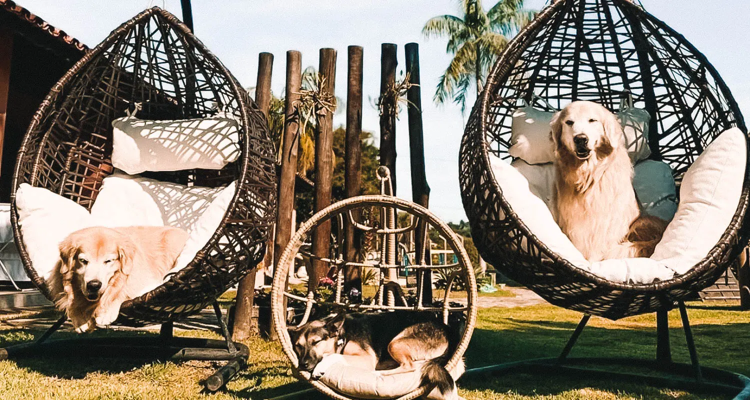 Hotéis pet friendly em Porto Alegre