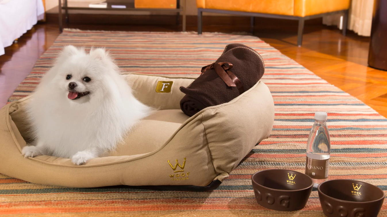 Documentação e vacinas necessárias para viajar com seu pet em Porto Alegre