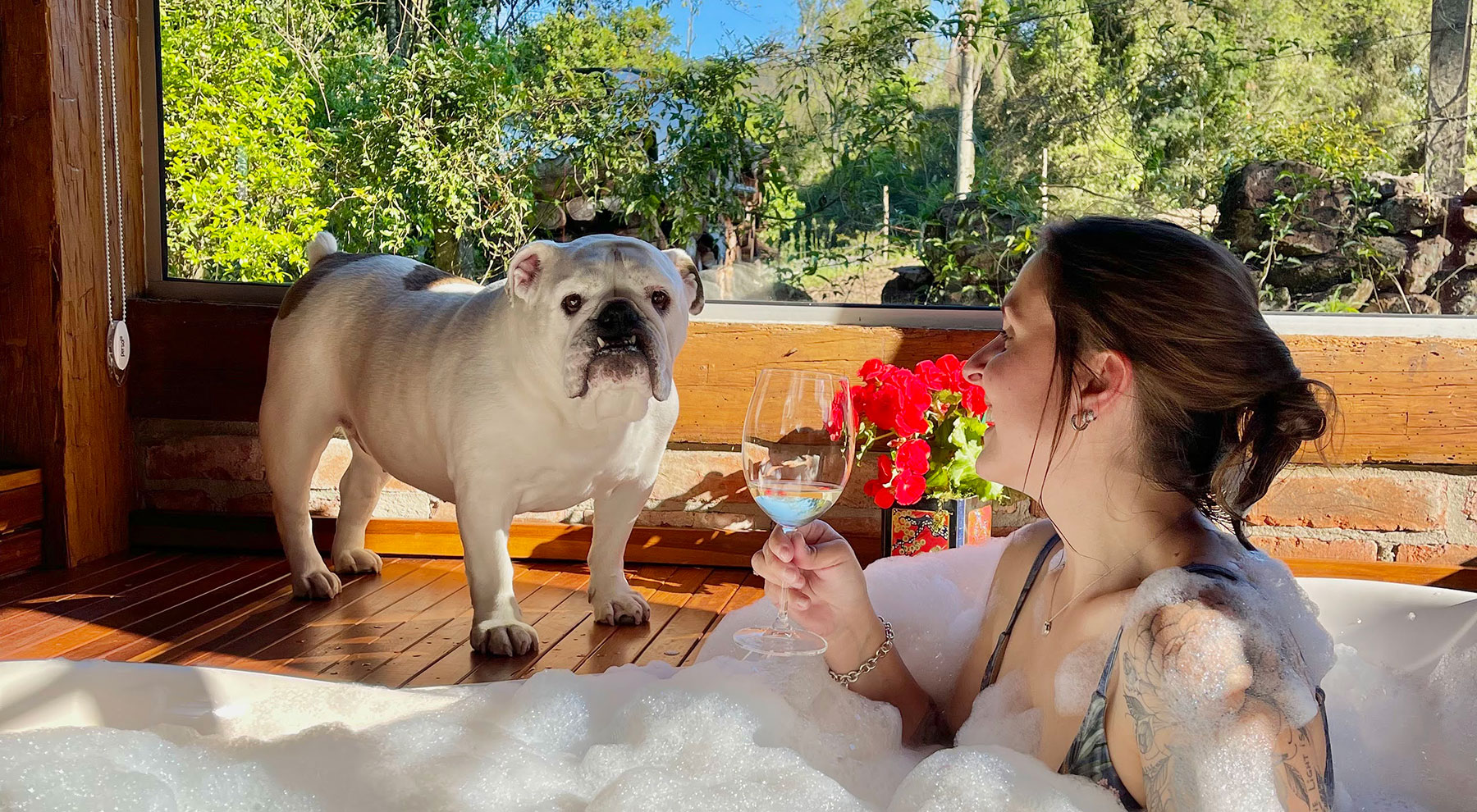 Como escolher o hotel pet friendly ideal em Porto Alegre: O que considerar