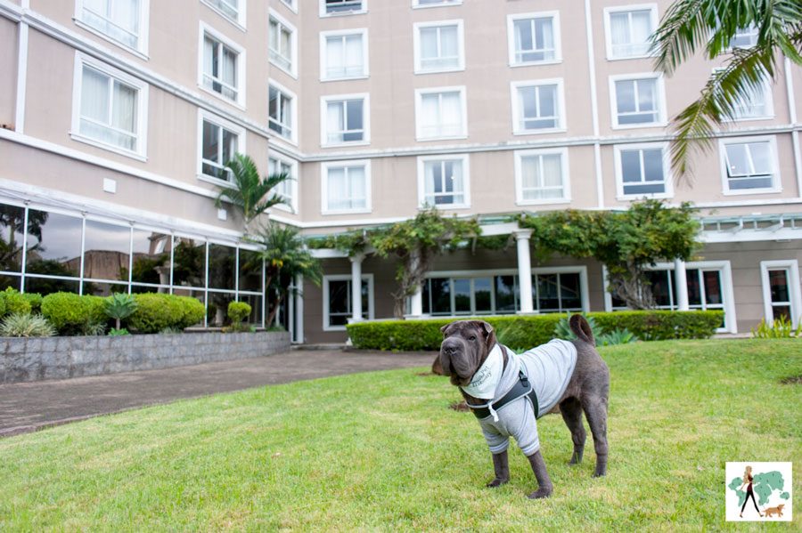 Hotéis pet friendly em Porto Alegre