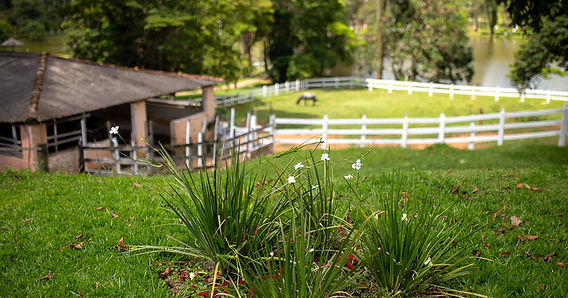 Roteiro de Férias: Os Melhores Hotéis Fazenda com Recreação em Minas Gerais