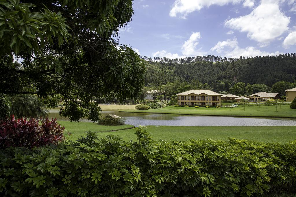 Descubra o Aconchego Mineiro: Hotéis Fazenda com Experiências Rurais