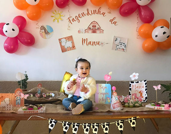 festa de 1 ano: buffet completo vs. festa em casa