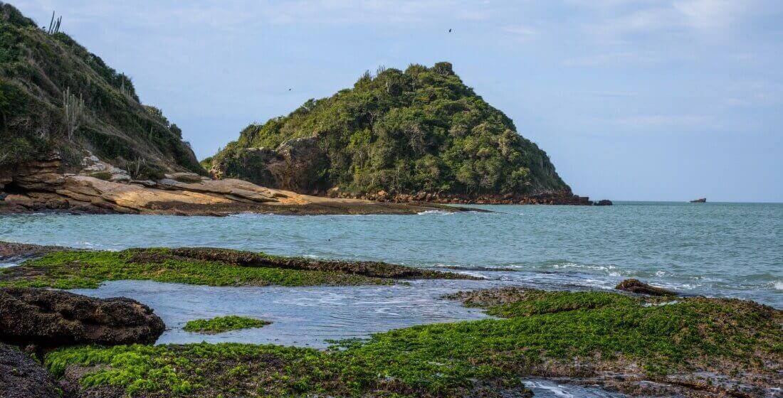 Descobrindo a Ilha Rasa