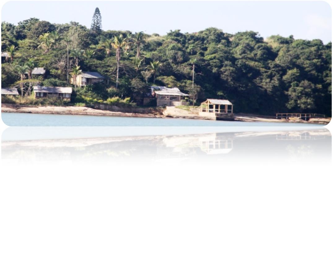 Descobrindo a Ilha Rasa